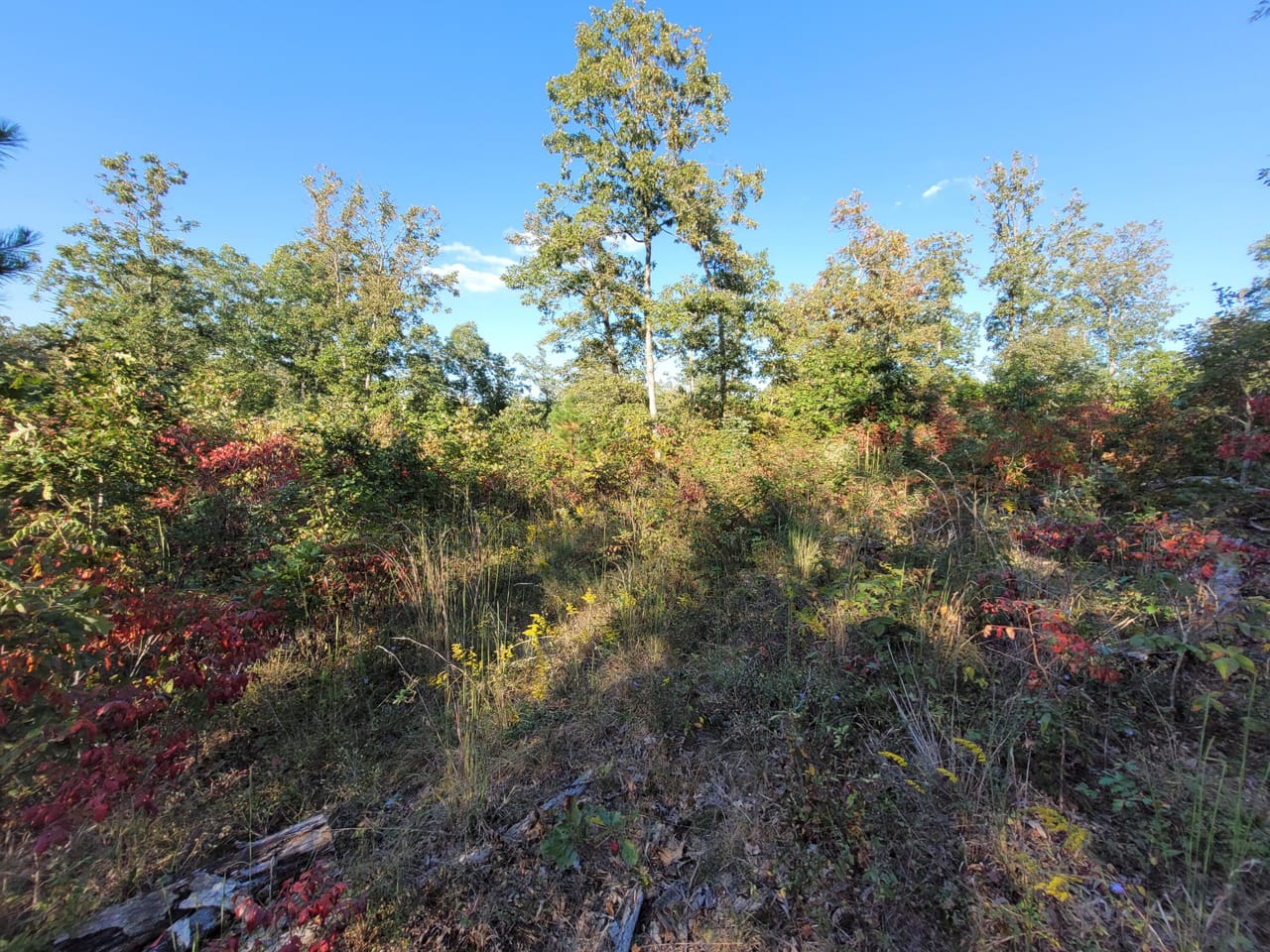 Listing Image 28