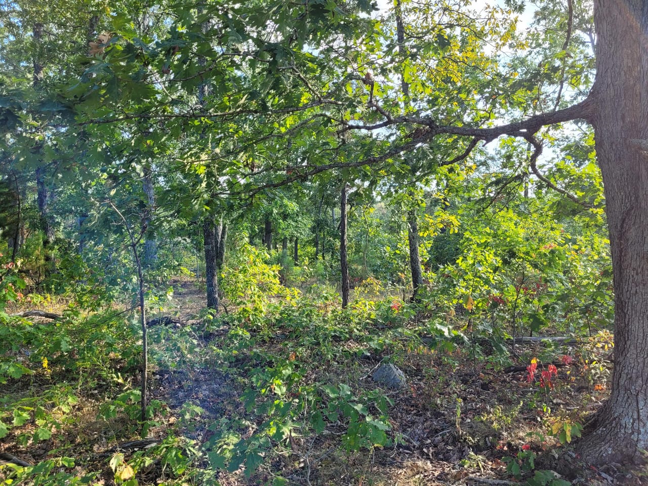 Listing Image 4