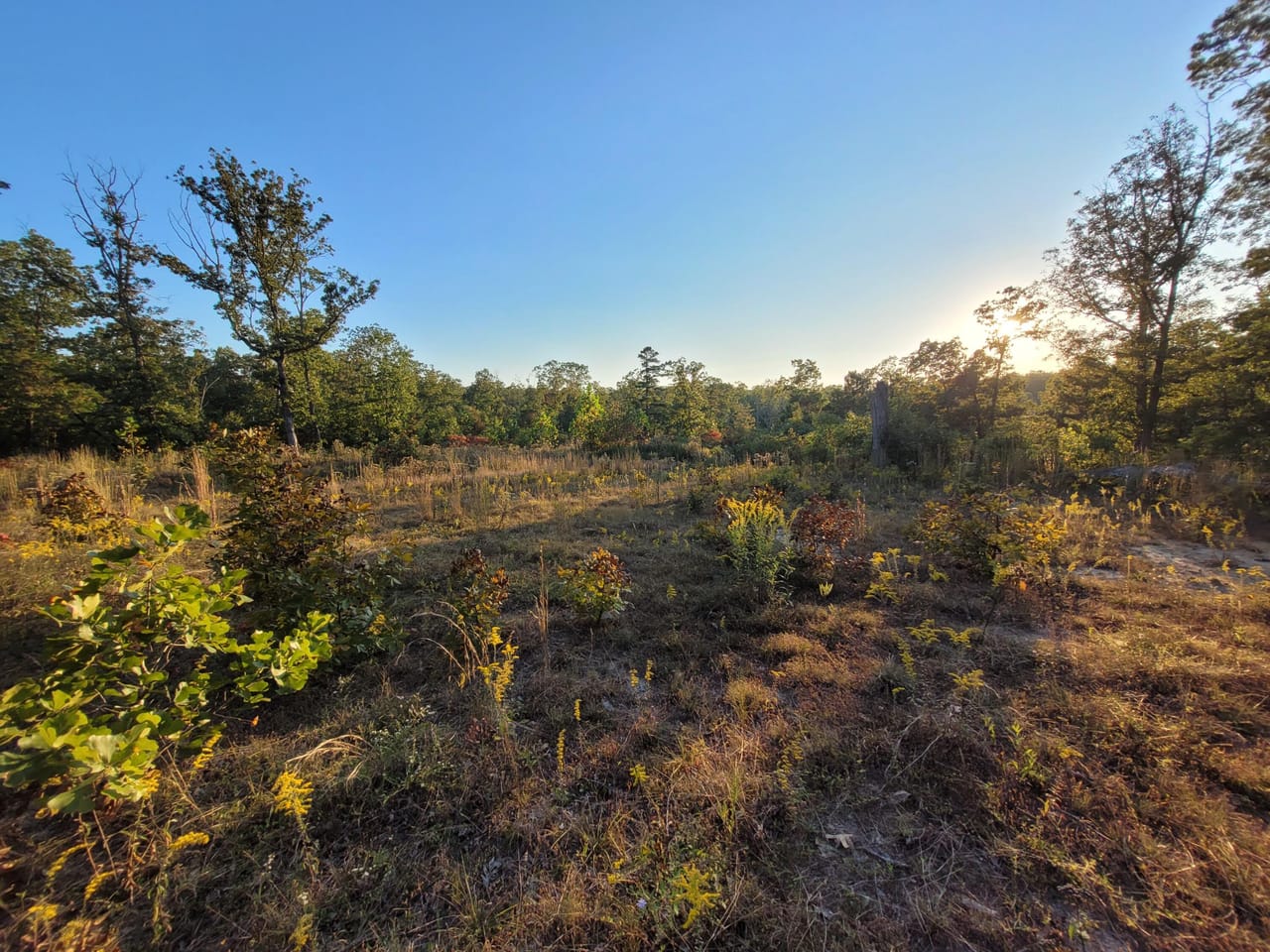 Listing Image 14