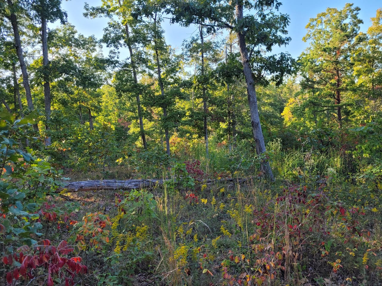 Listing Image 15