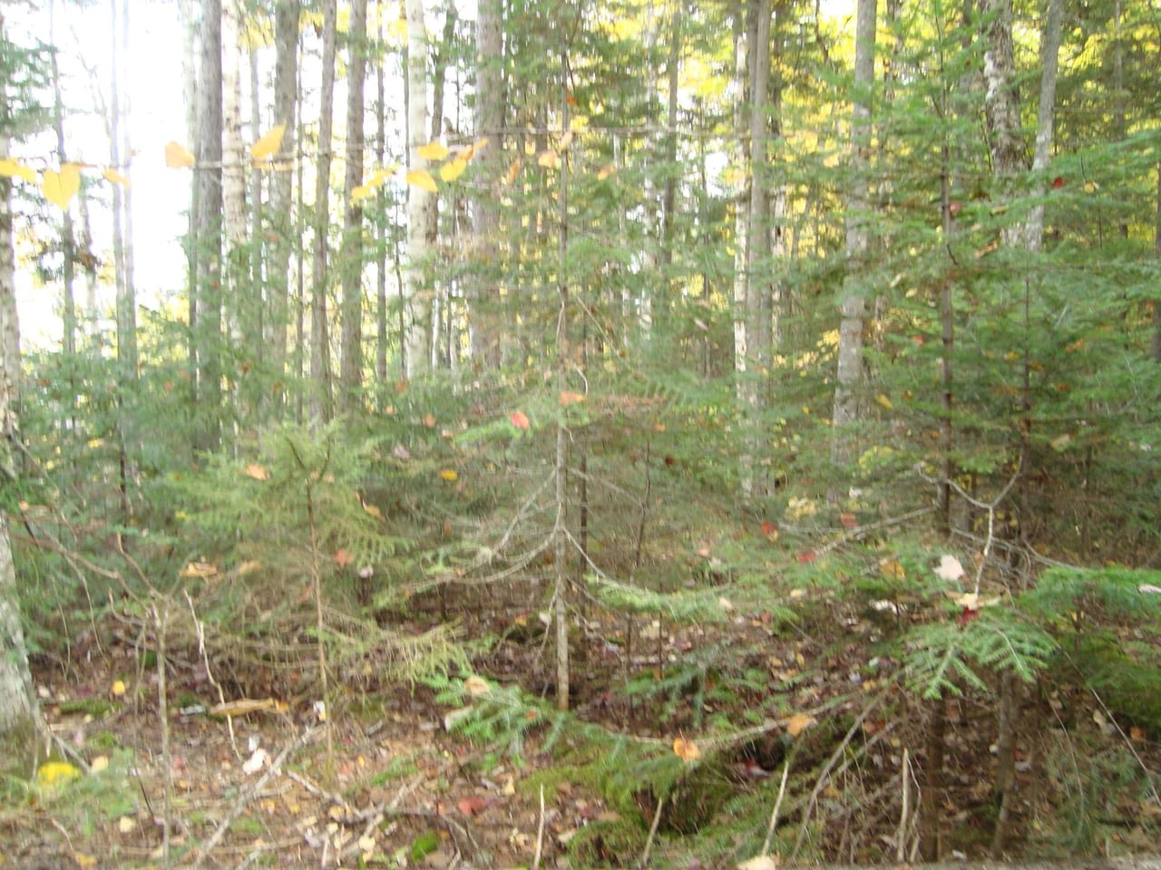 Listing Image 25