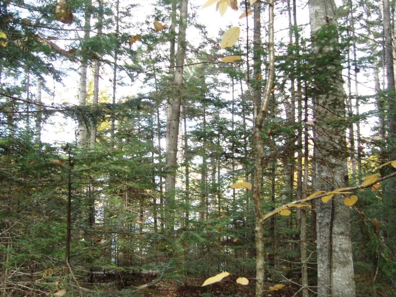 Listing Image 27