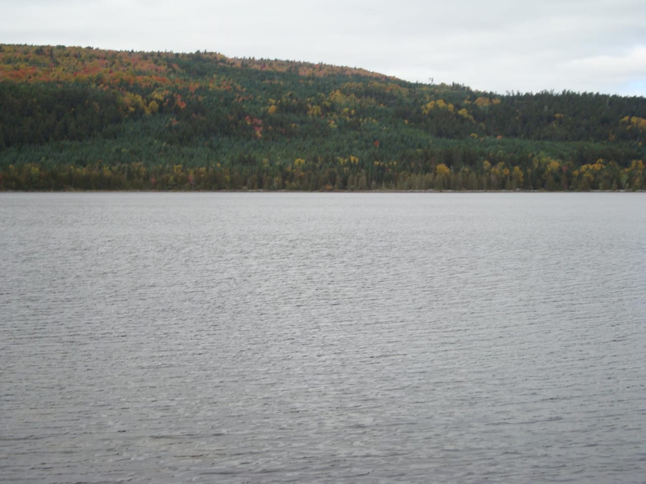 Listing Image 71