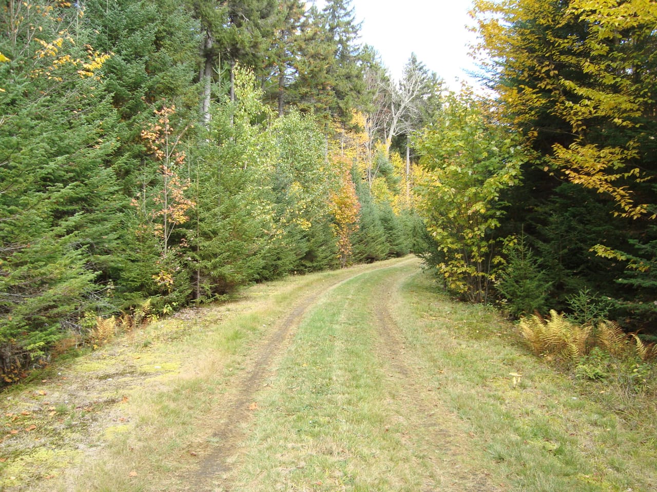 Listing Image 59