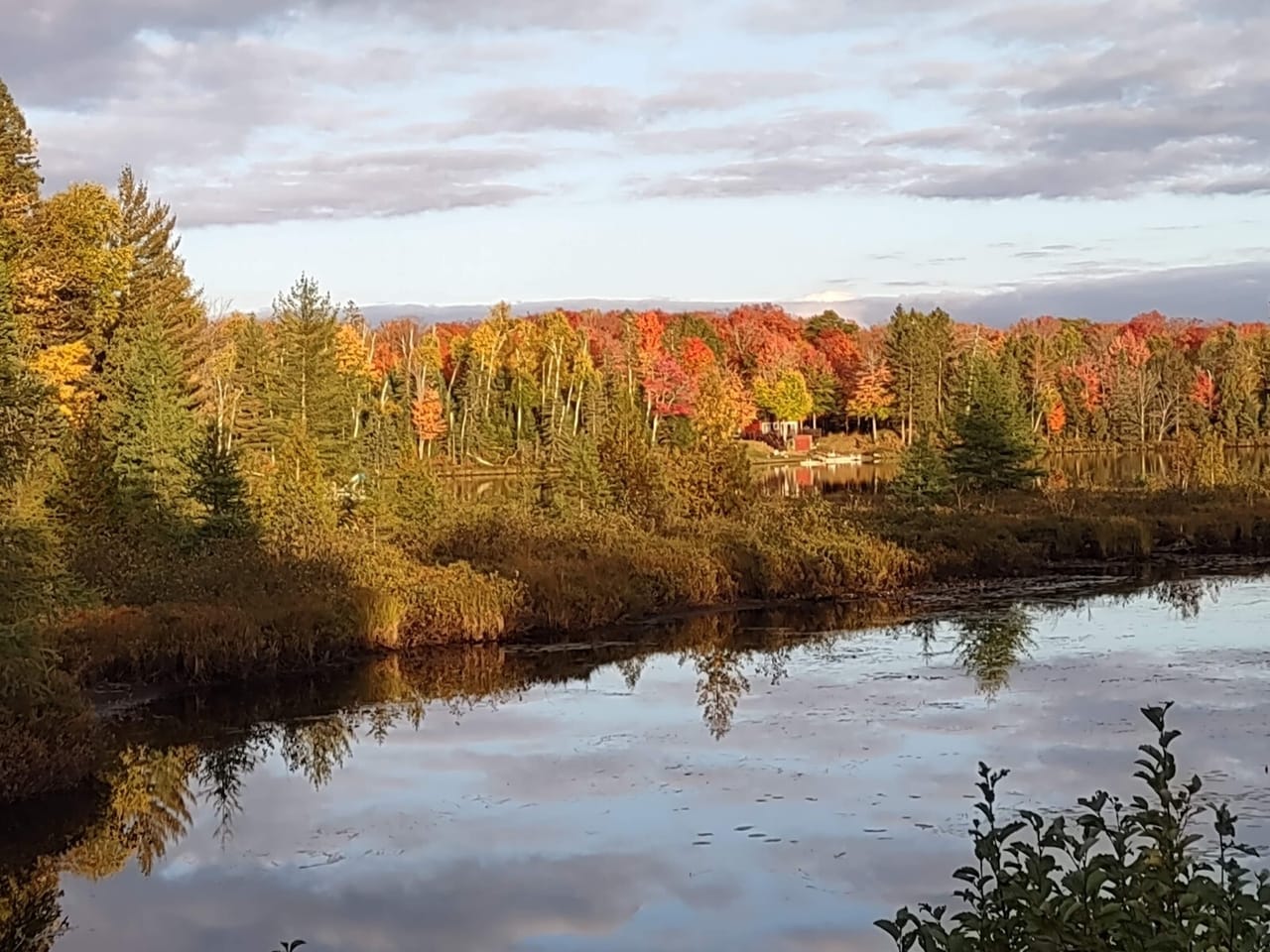 51 +/- Acre Waterfront 50124997