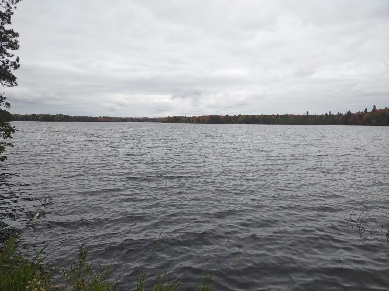 51 +/- Acre Waterfront 50124997