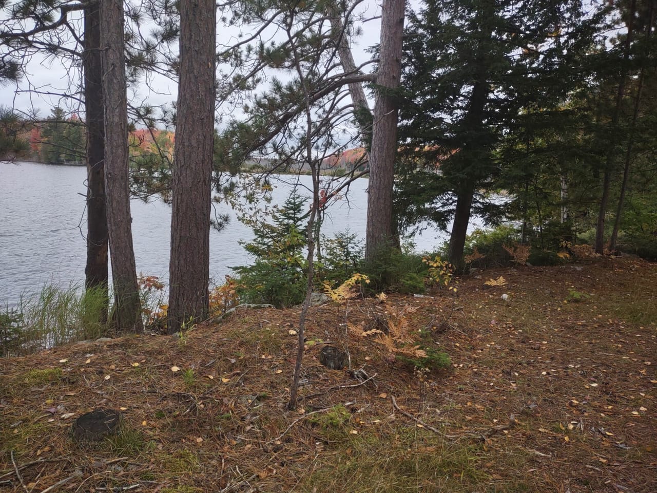 51 +/- Acre Waterfront 50124997
