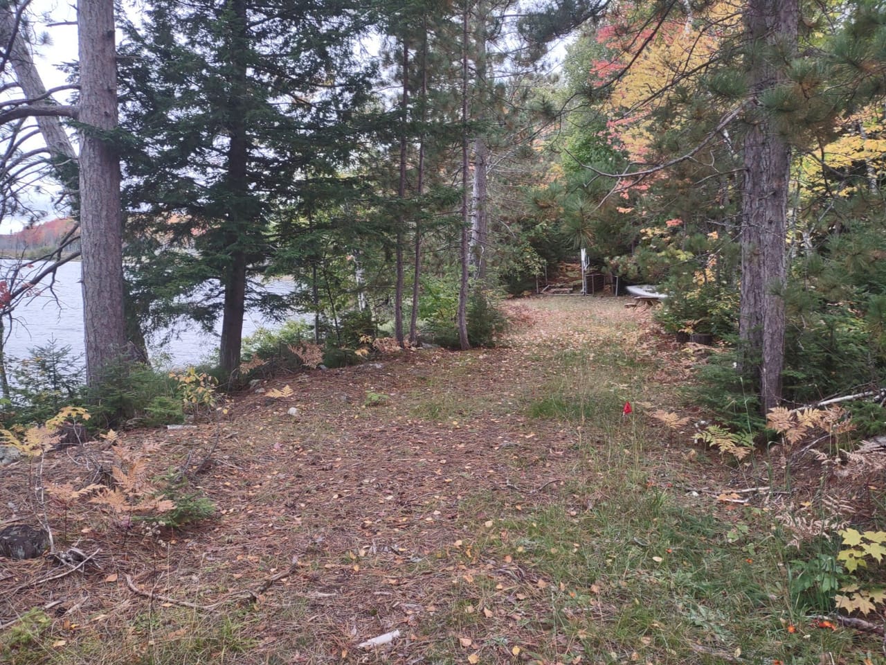 51 +/- Acre Waterfront 50124997