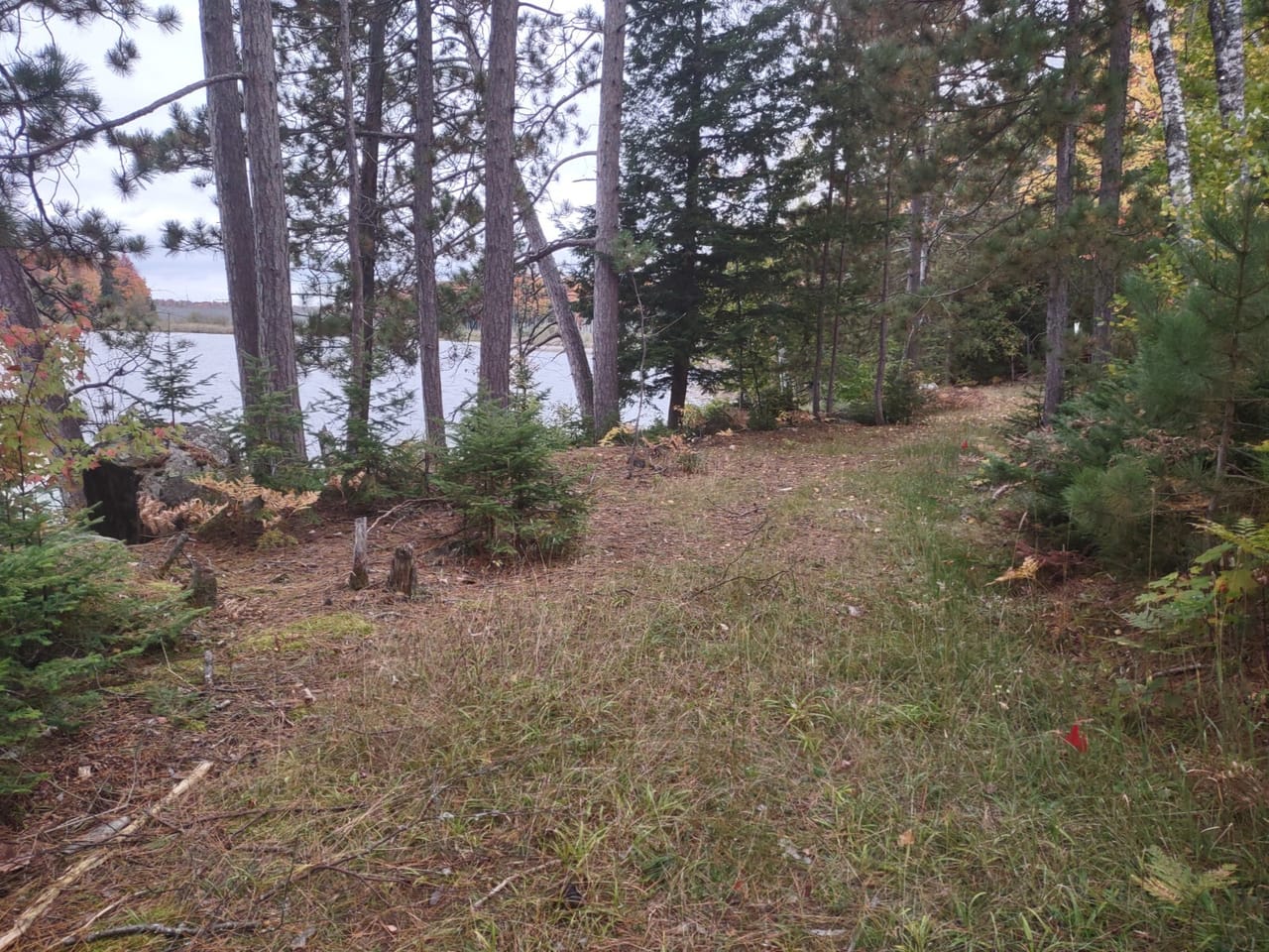 51 +/- Acre Waterfront 50124997