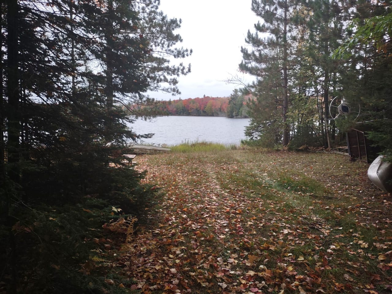 51 +/- Acre Waterfront 50124997