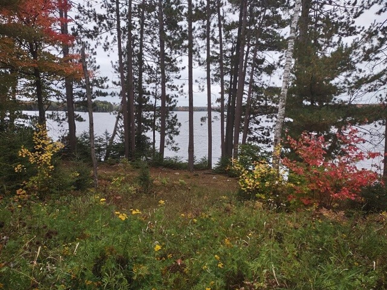 51 +/- Acre Waterfront 50124997