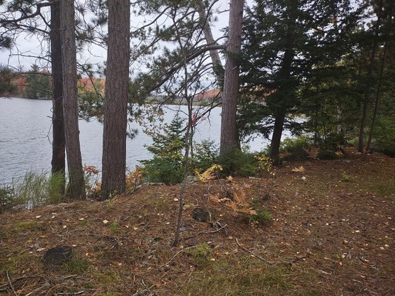 51 +/- Acre Waterfront 50124997