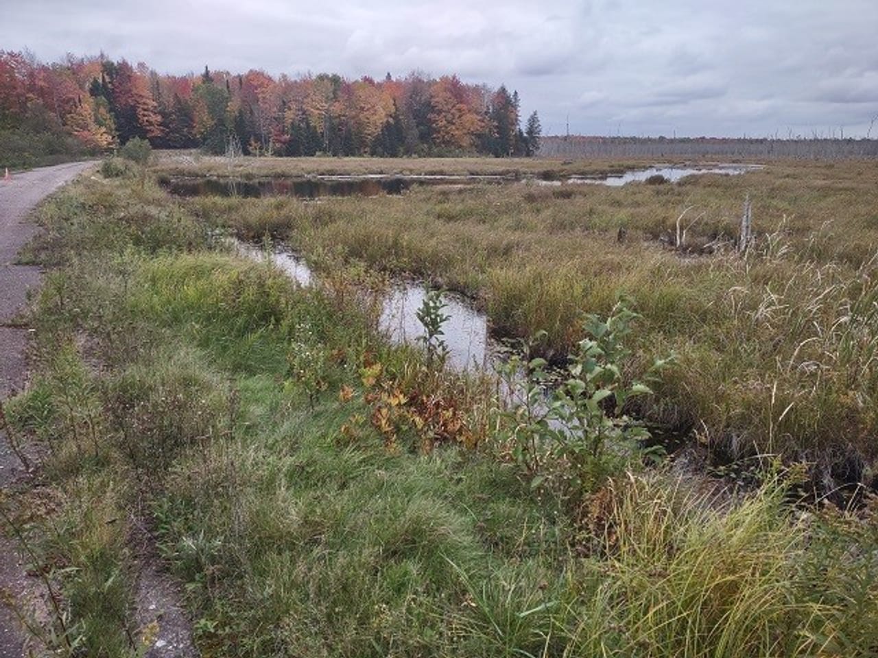 51 +/- Acre Waterfront 50124997