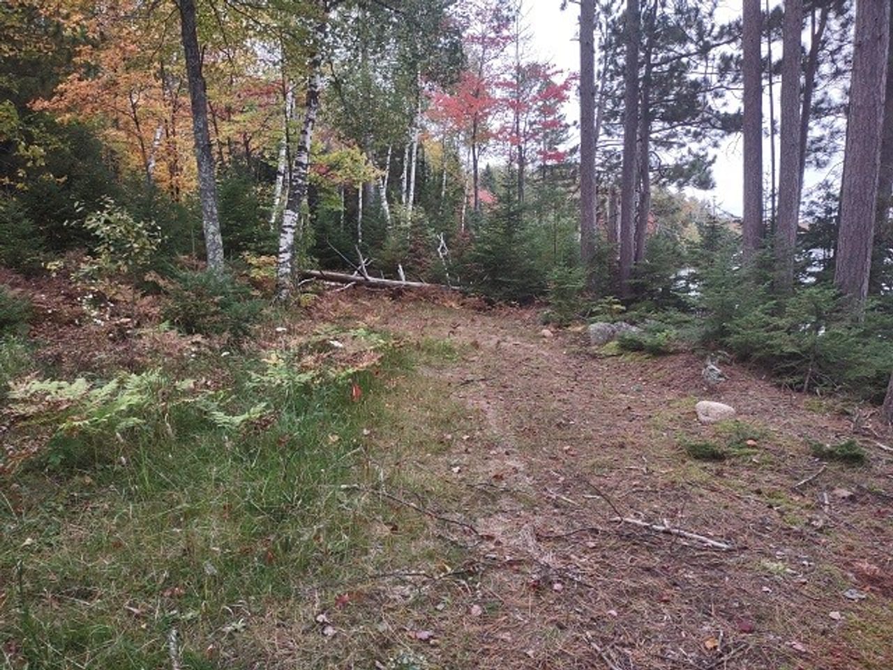 51 +/- Acre Waterfront 50124997