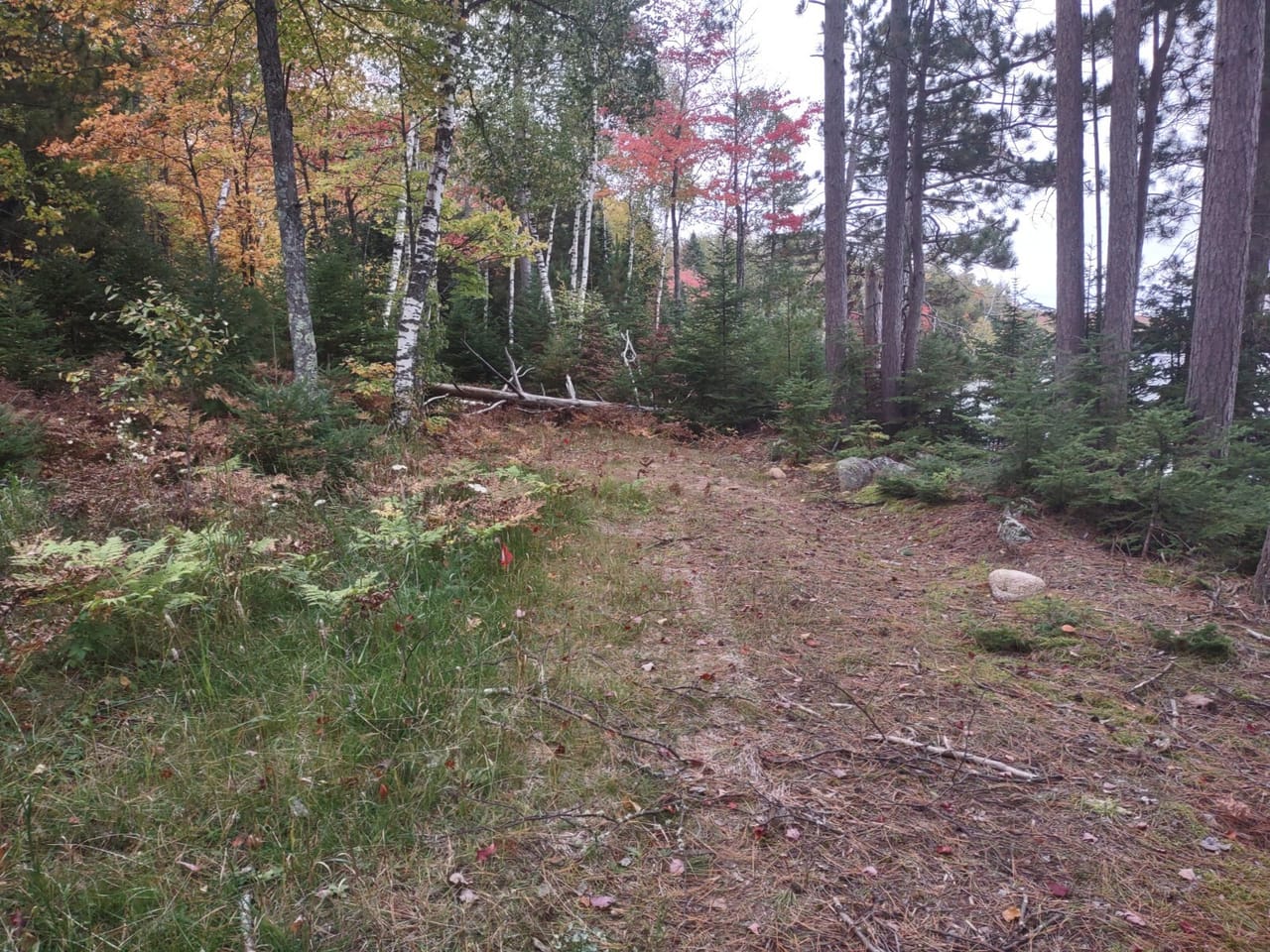 51 +/- Acre Waterfront 50124997
