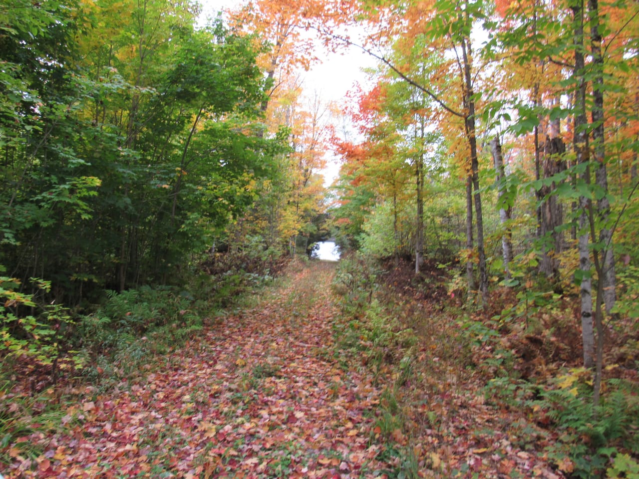 51 +/- Acre Waterfront 50124997