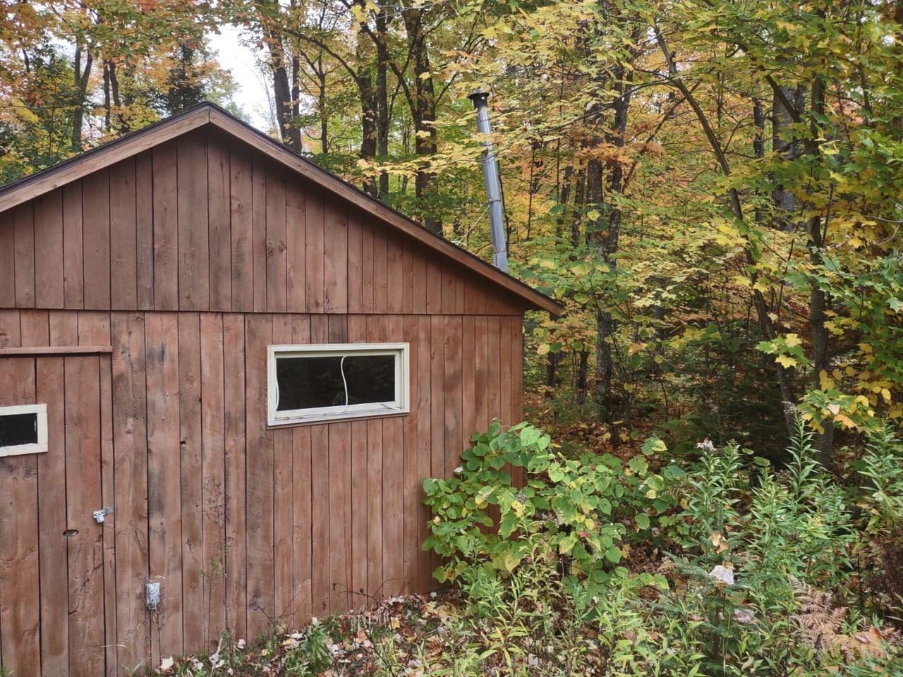 51 +/- Acre Waterfront 50124997