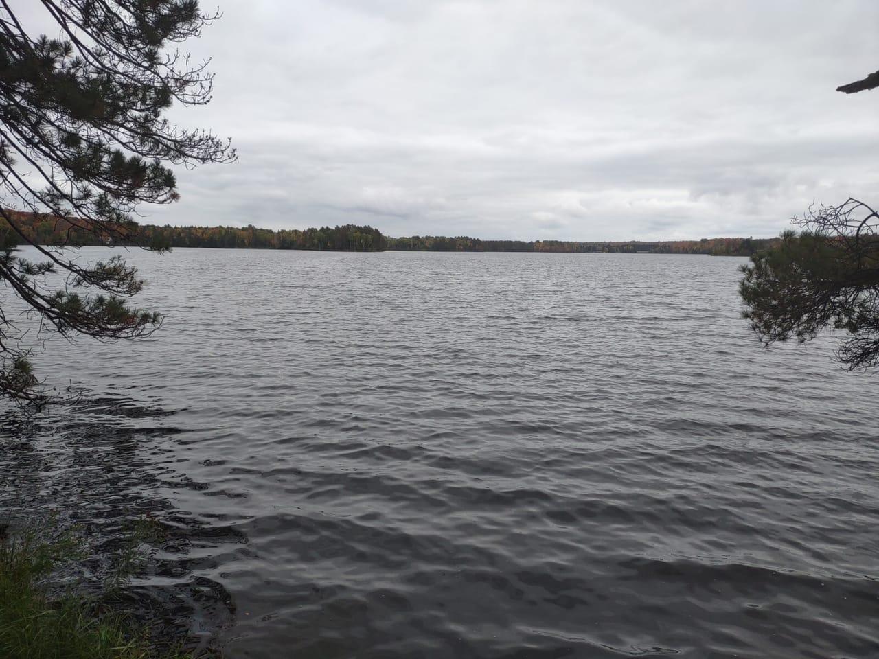 51 +/- Acre Waterfront 50124997