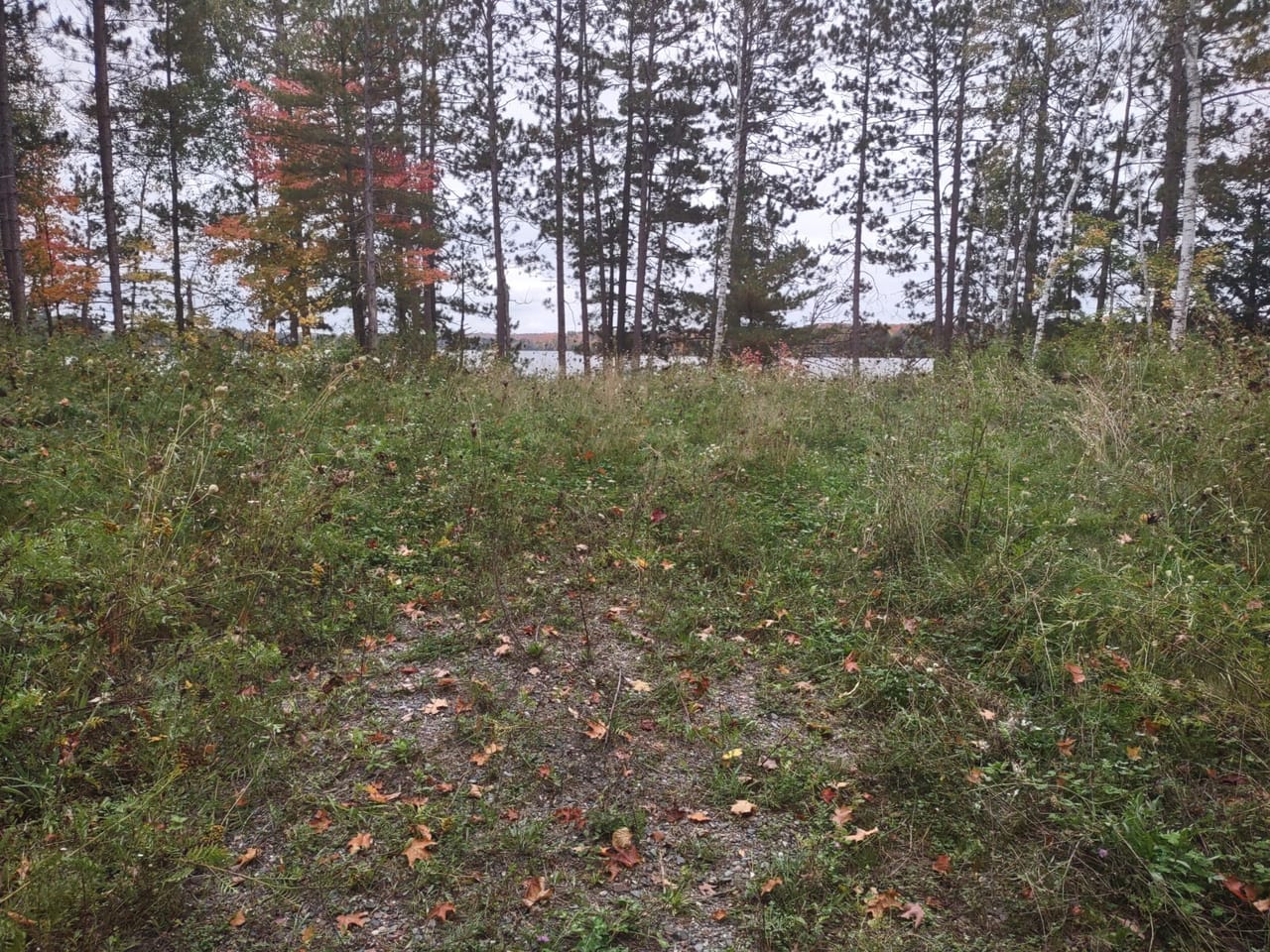 51 +/- Acre Waterfront 50124997