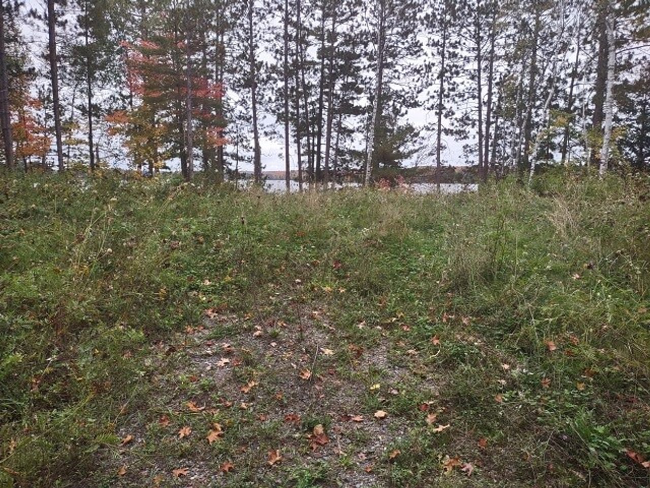 51 +/- Acre Waterfront 50124997