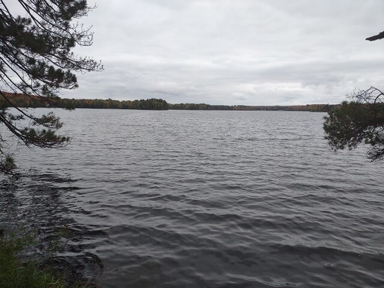 51 +/- Acre Waterfront 50124997