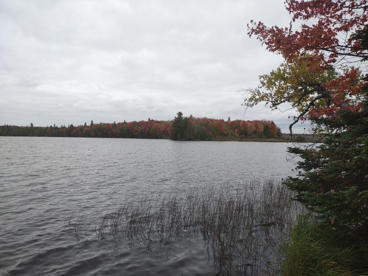 51 +/- Acre Waterfront 50124997