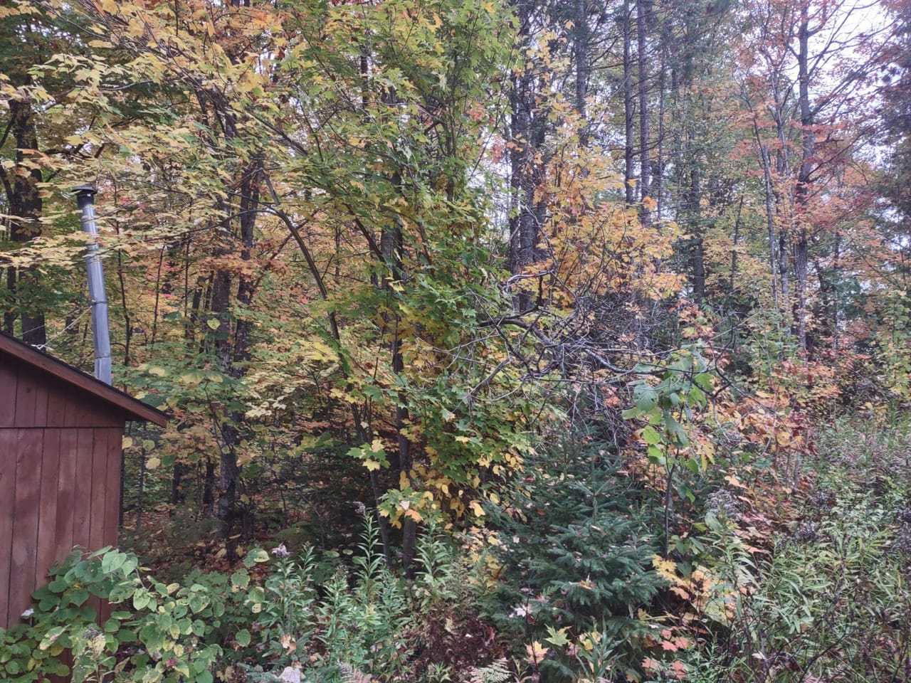 51 +/- Acre Waterfront 50124997