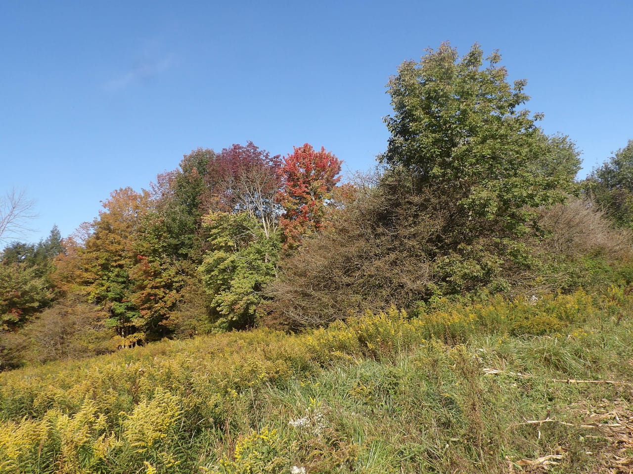 Listing Image 6