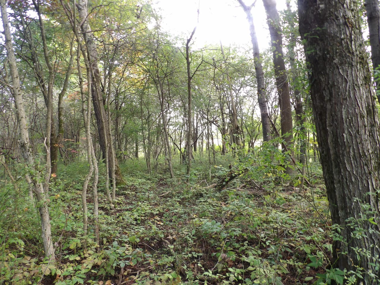Listing Image 14
