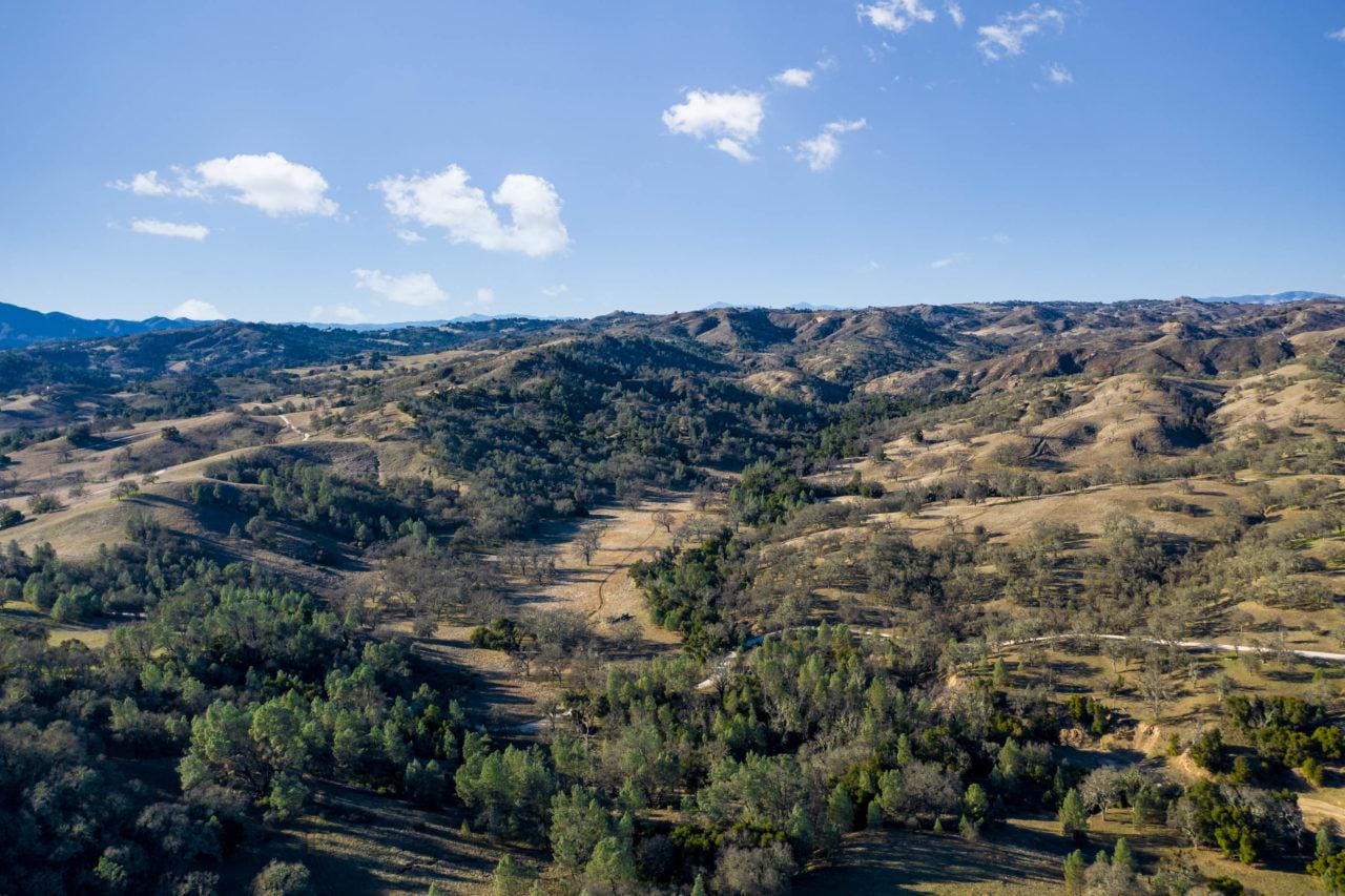 Listing Image 75