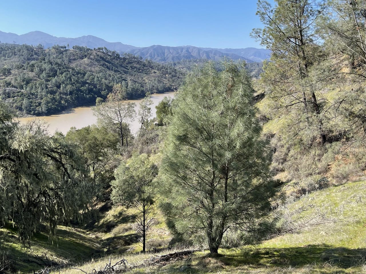 Listing Image 60