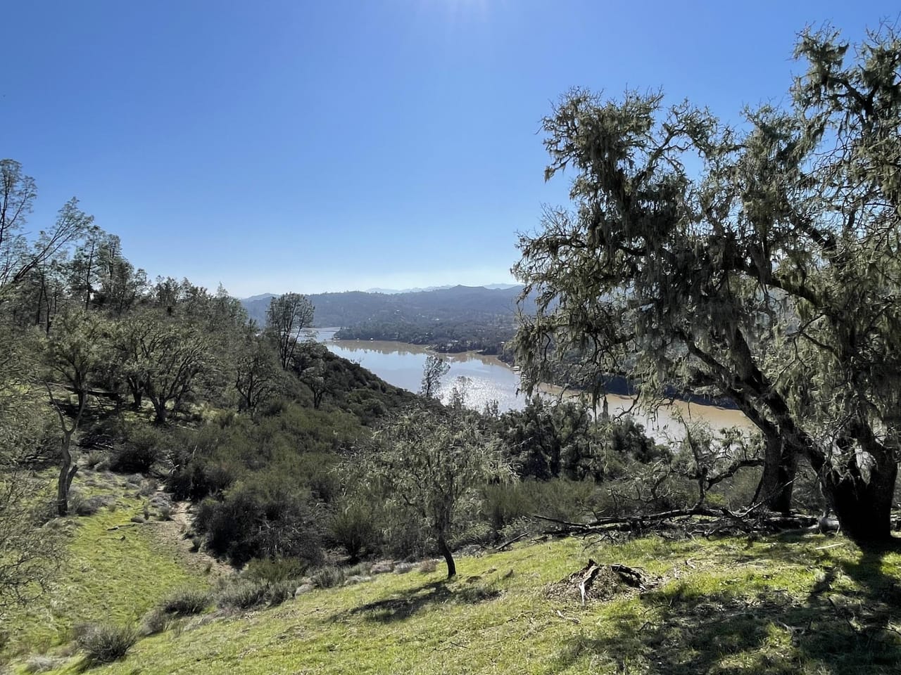 Listing Image 76