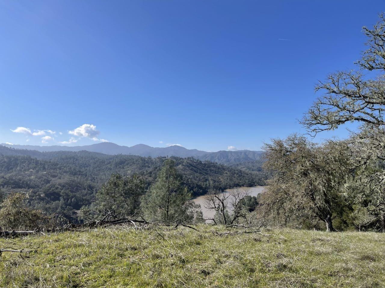 Listing Image 78