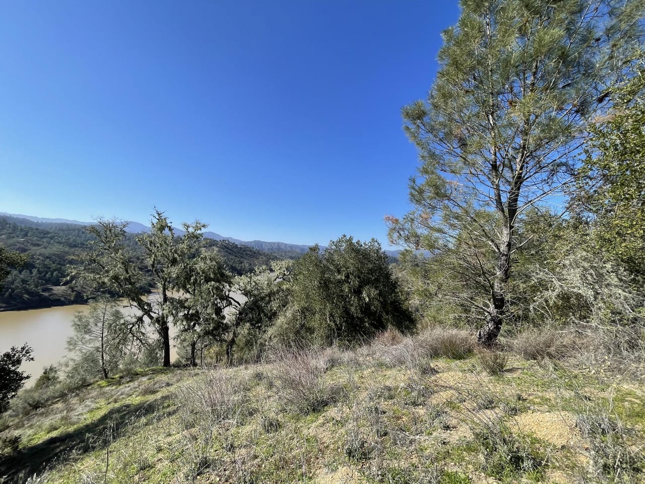 Listing Image 79