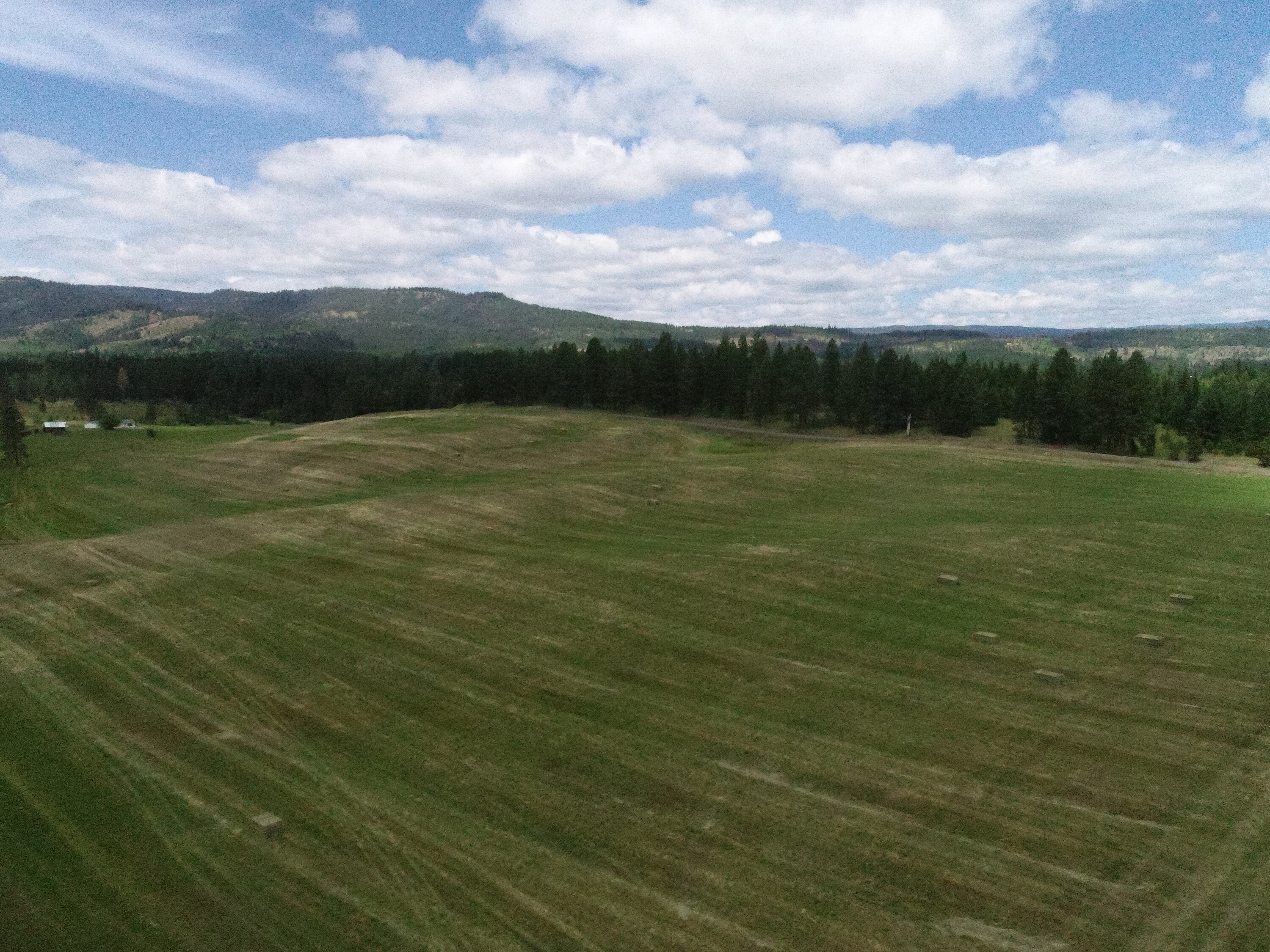 Cattle ranch/Hobby farm