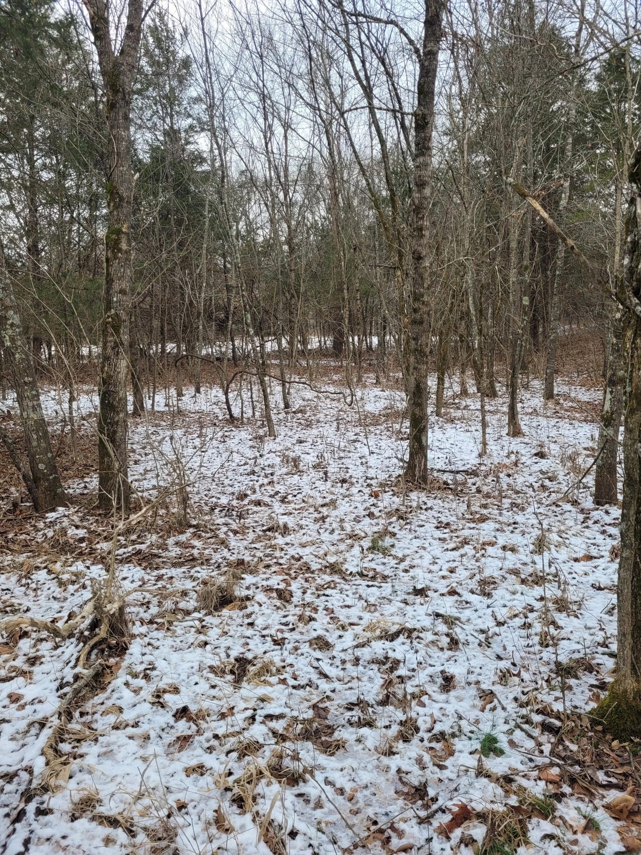 Listing Image 50