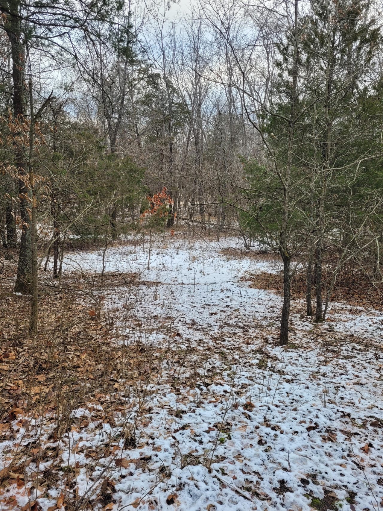 Listing Image 56