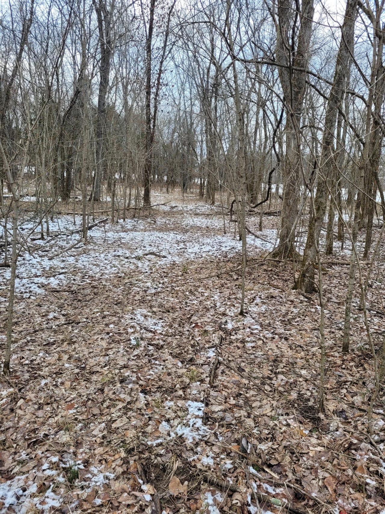 Listing Image 58