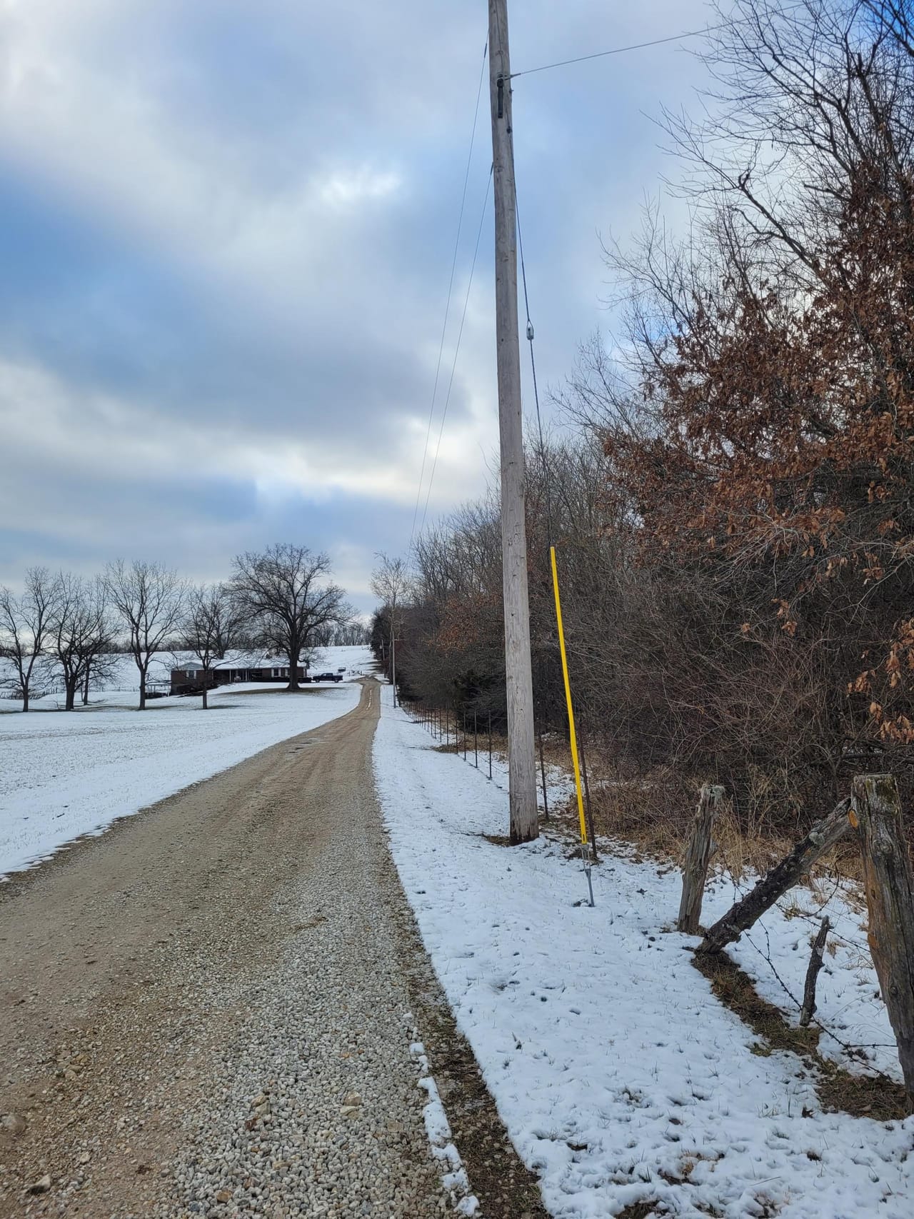 Listing Image 61
