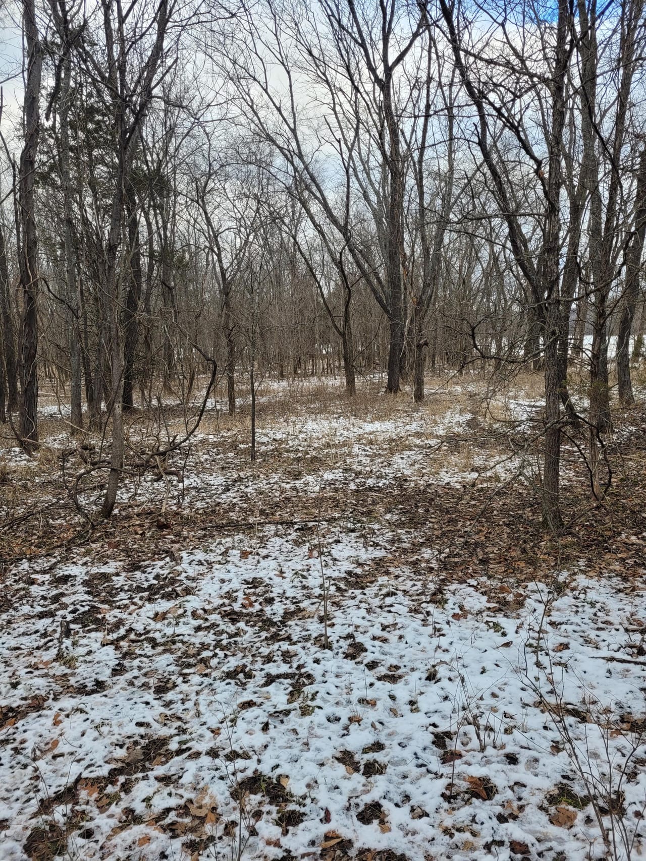 Listing Image 31