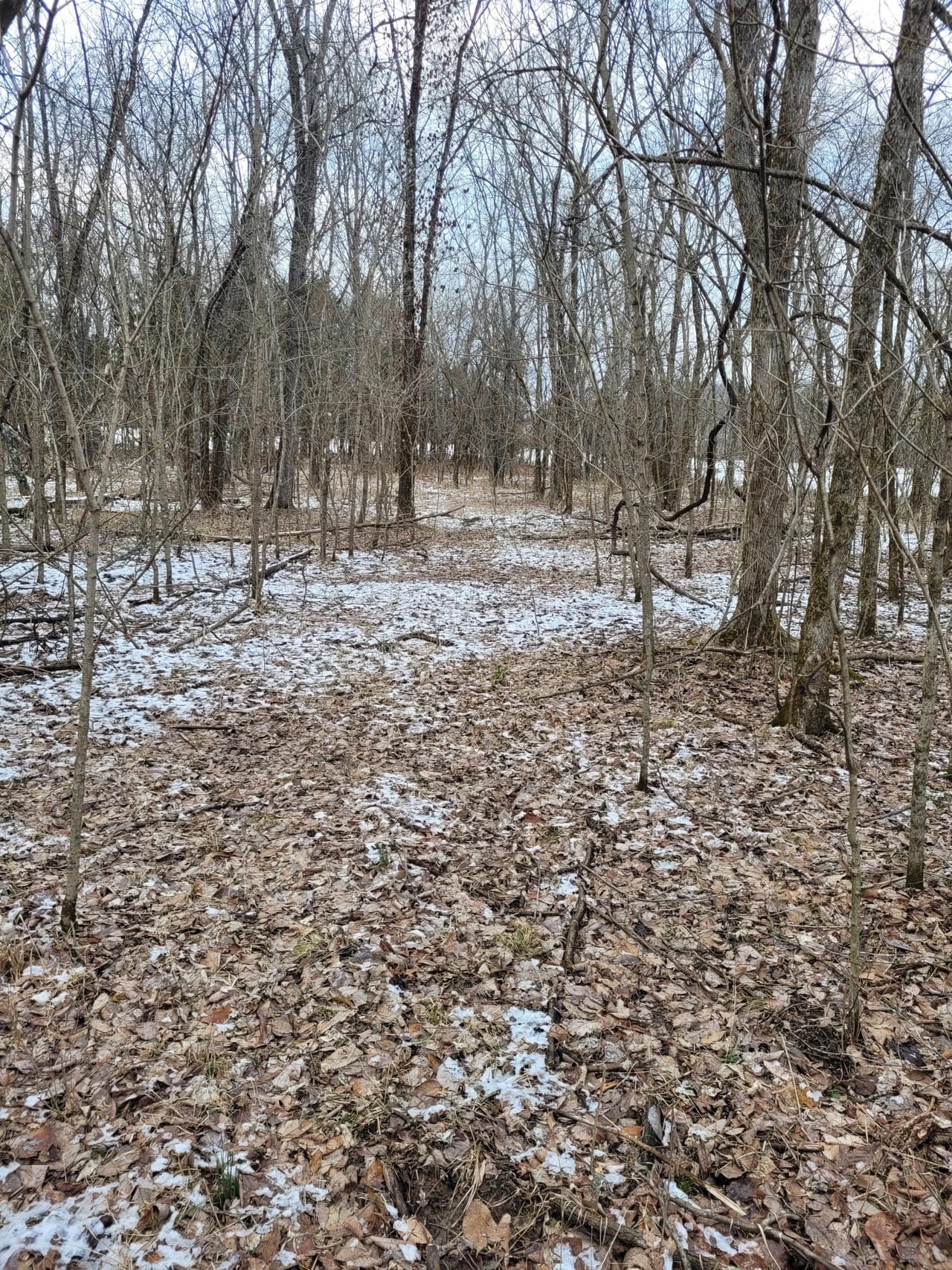Listing Image 33