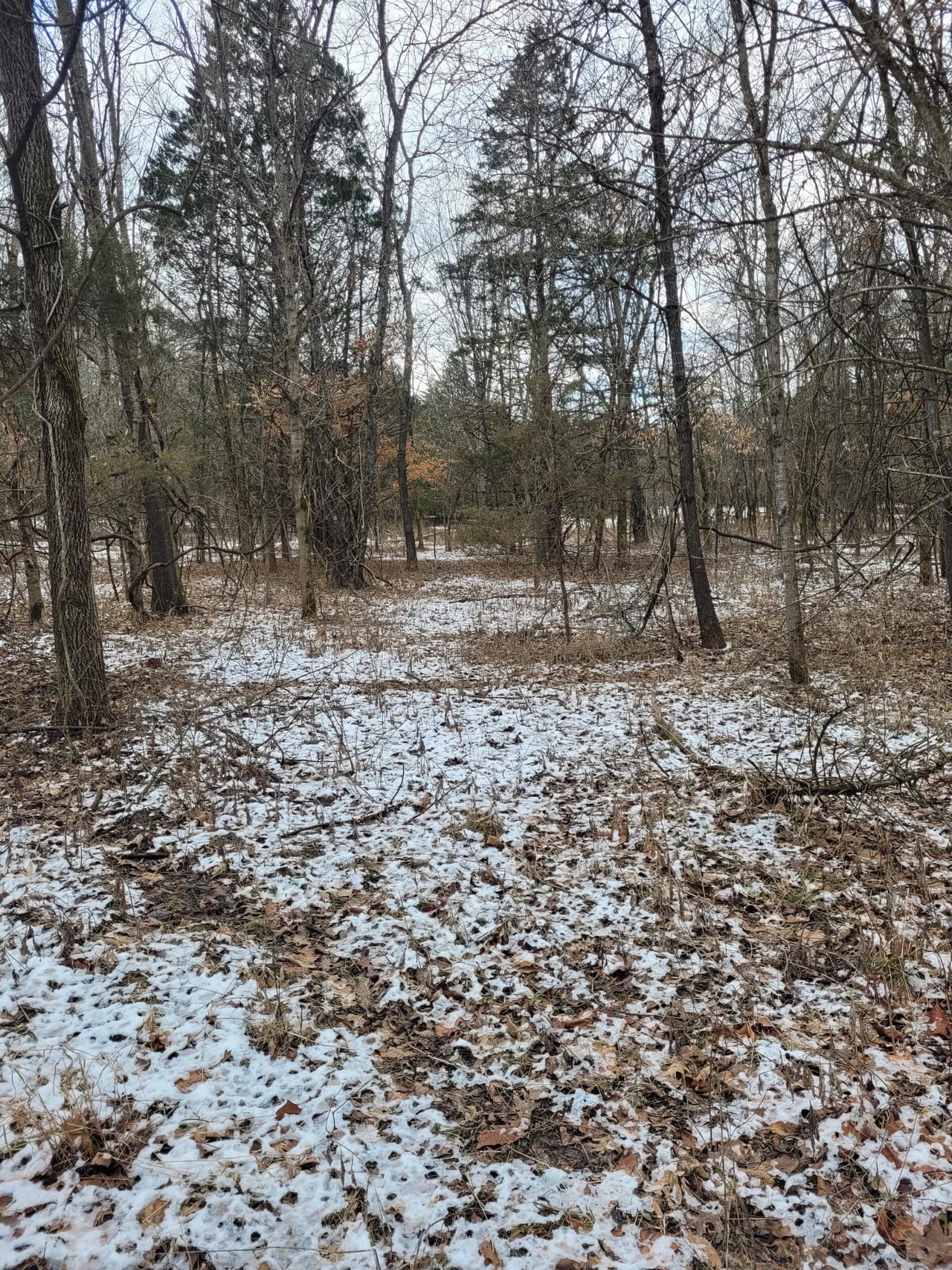 Listing Image 34