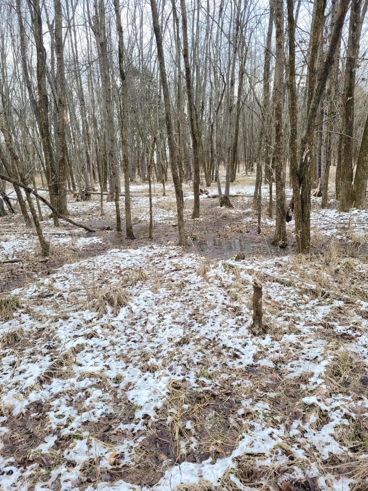 Listing Image 45