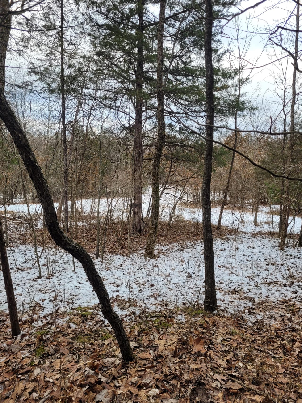 Listing Image 75