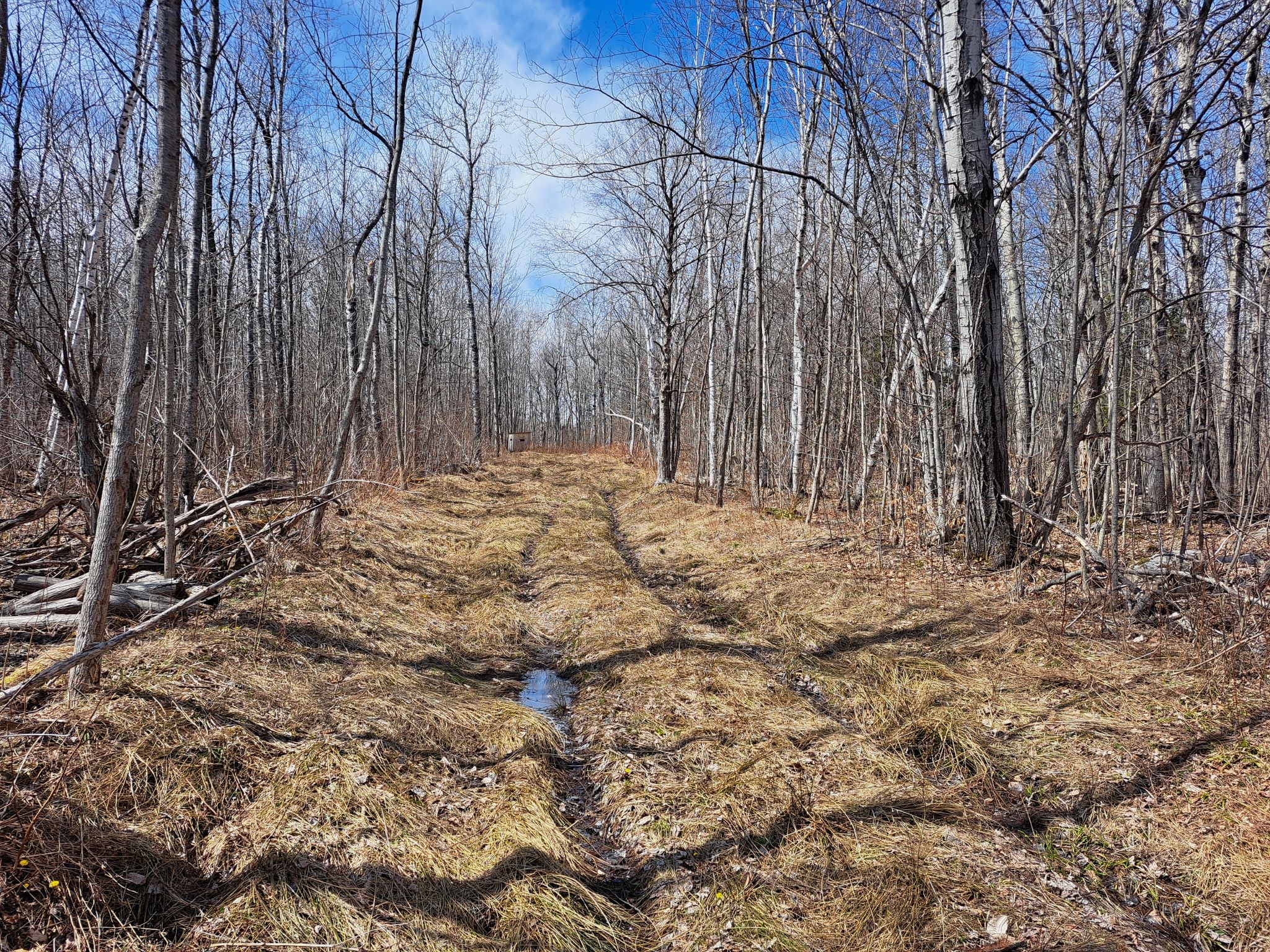 Listing Image 45
