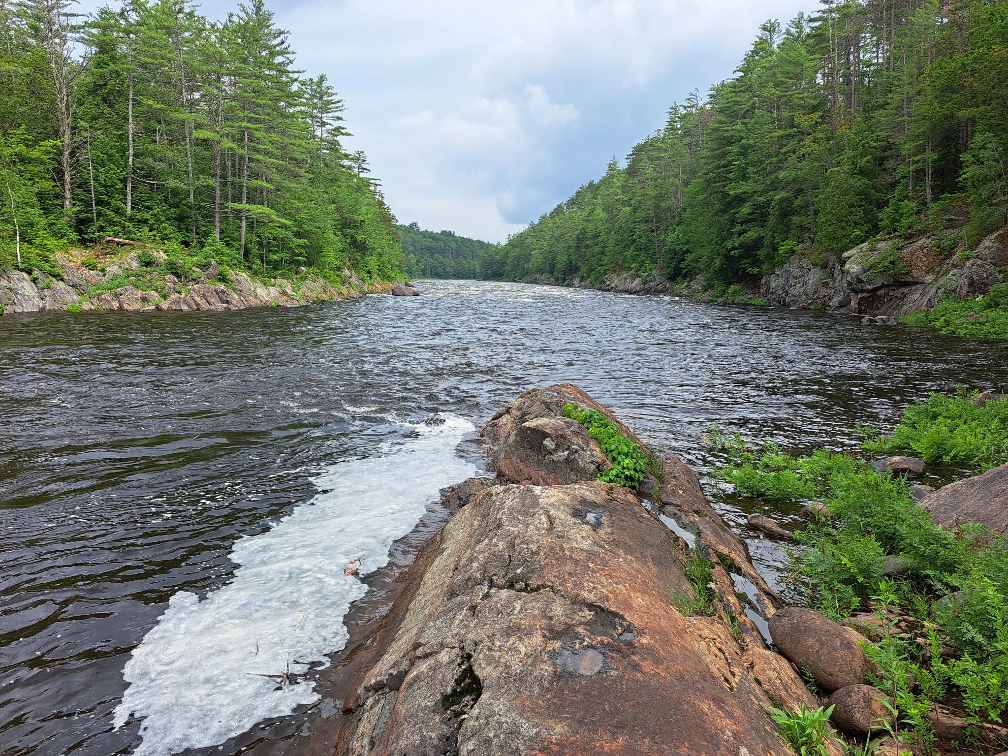 Hudson River Woods & Water