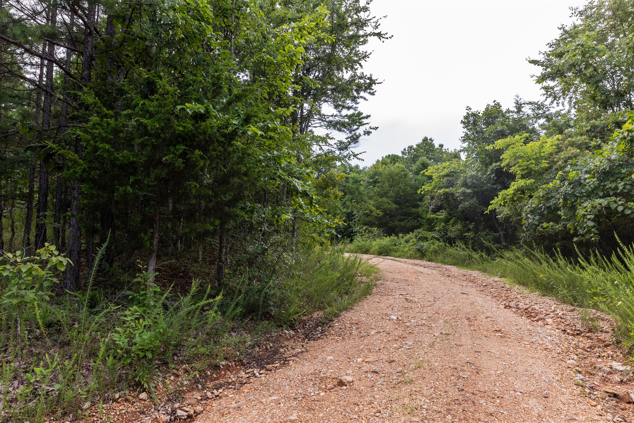 Whitacre Run Retreat