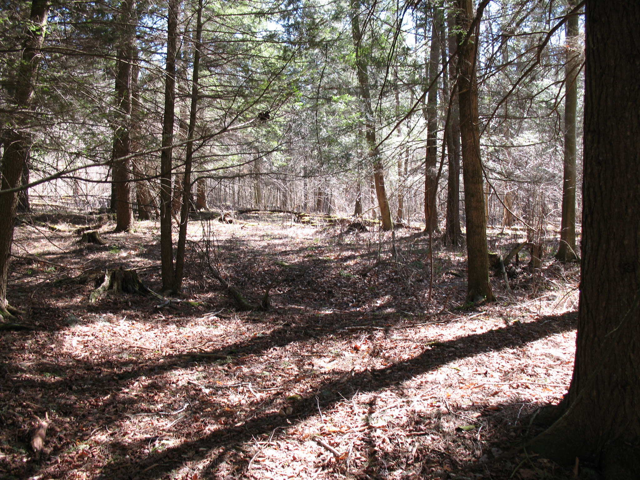 Listing Image 30