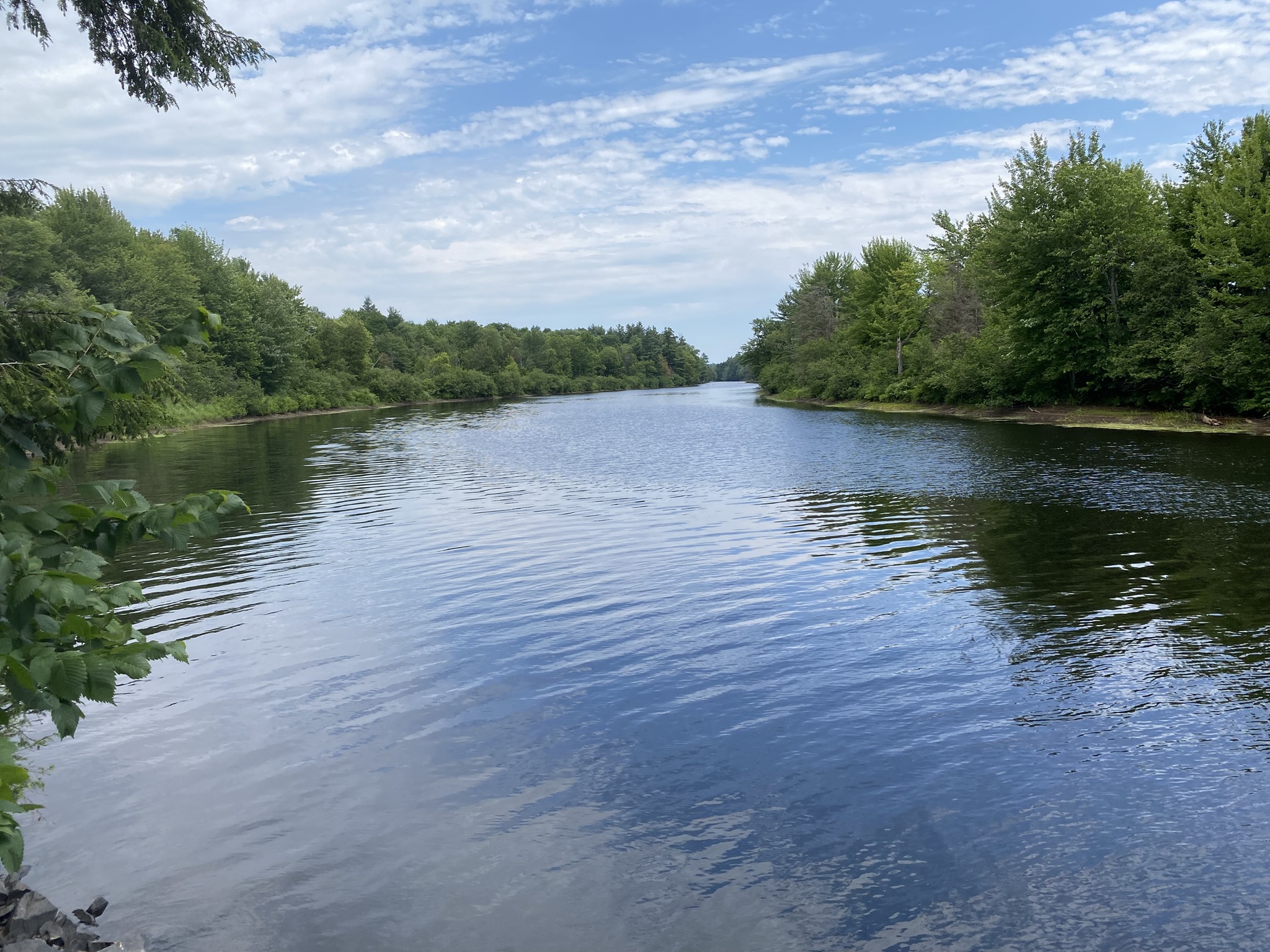 Listing Image 84