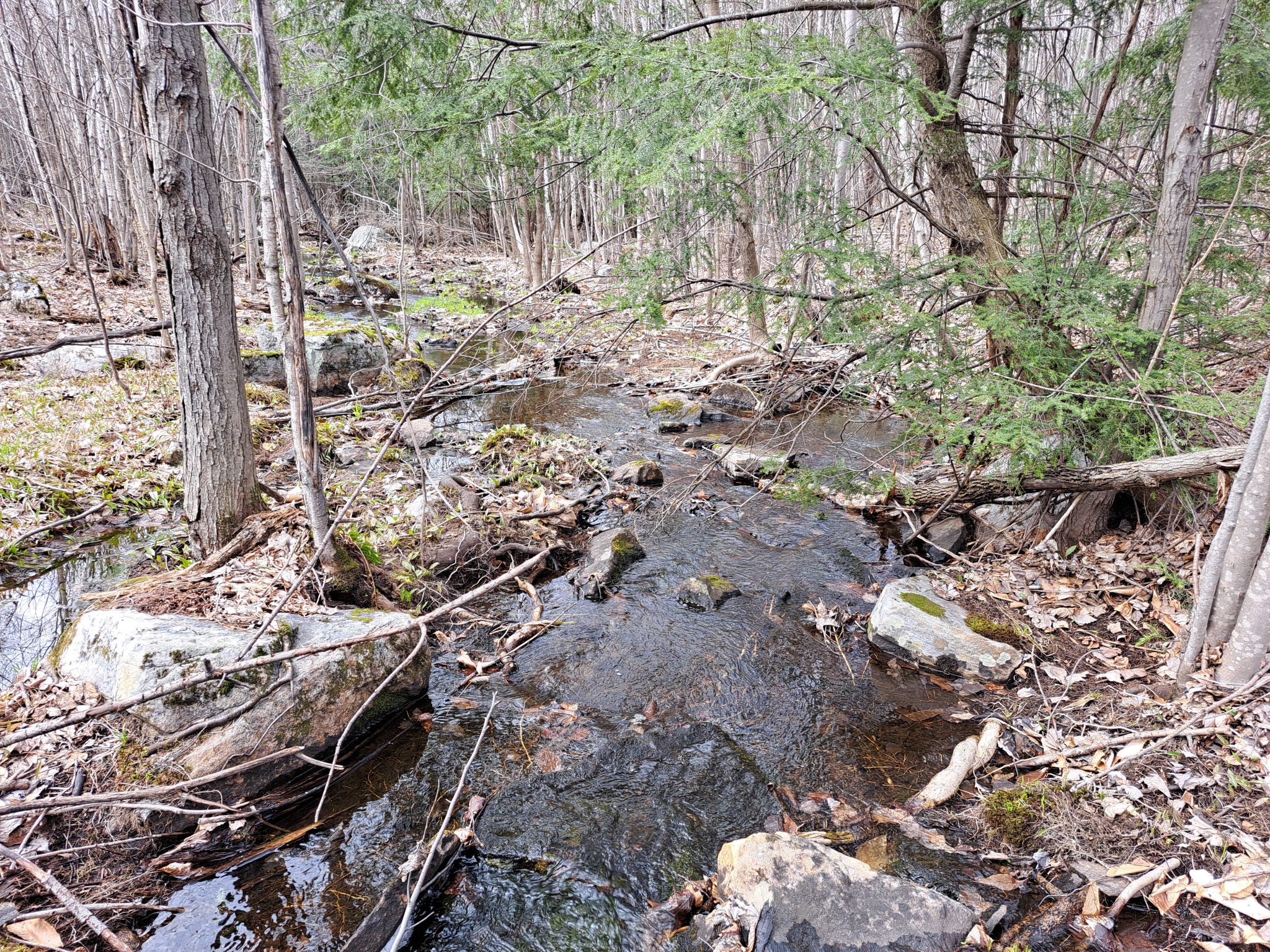 Listing Image 40